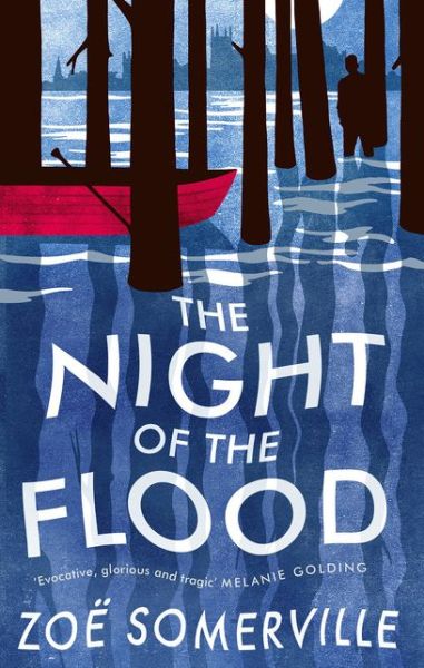 Cover for Zoe Somerville · The Night of the Flood (Hardcover Book) (2020)