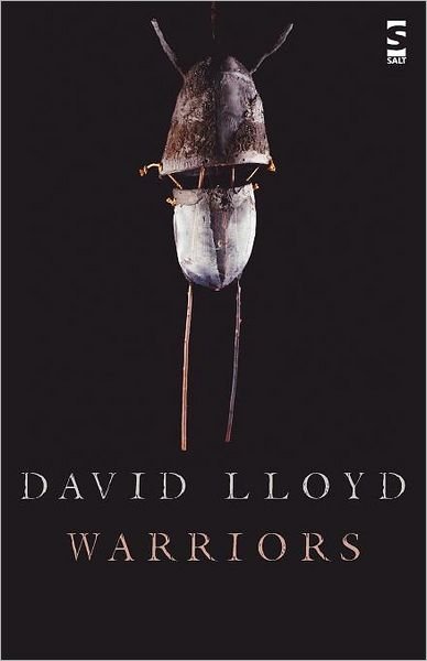 Cover for David Lloyd · Warriors - Salt Modern Poets (Taschenbuch) (2012)