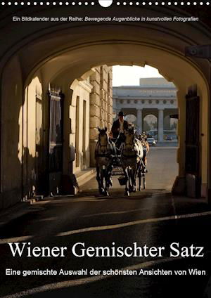 Wiener Gemischter SatzAT-Version - Bartek - Boeken -  - 9783670446606 - 