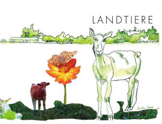 Cover for Knappe · Landtiere (Bok)