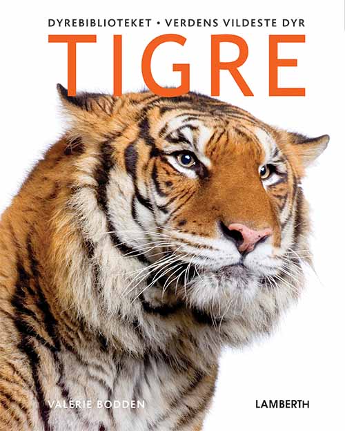 Cover for Valerie Bodden · Verdens vildeste dyr: Tigre (Bound Book) [1.º edición] (2019)