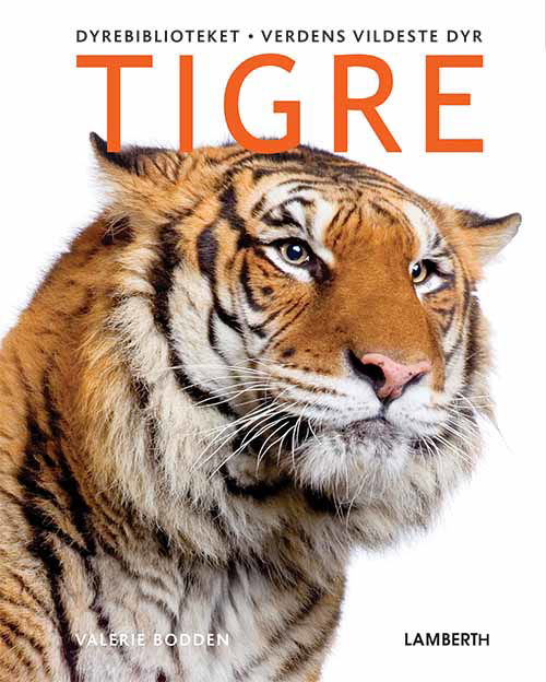 Cover for Valerie Bodden · Verdens vildeste dyr: Tigre (Bound Book) [1º edição] (2019)