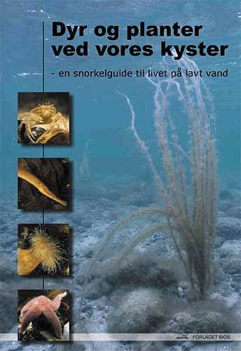 Cover for Dennis Lisbjerg · Dyr og planter ved vores kyster (Hæftet bog) [1. udgave] (2003)