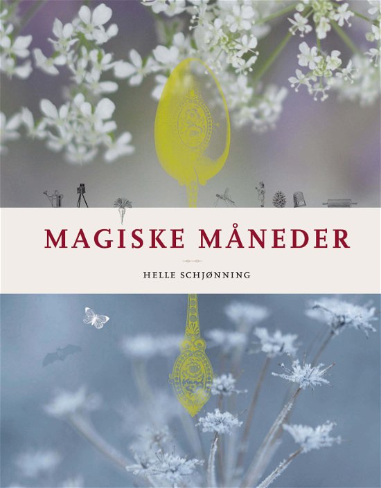 Helle Schjønning · Magiske måneder (Hardcover Book) [1st edition] [Hardback] (2011)