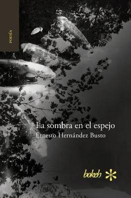 Cover for Ernesto Hernández Busto · La sombra en el espejo. Versiones japonesas (Taschenbuch) (2016)