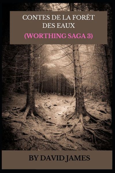 Cover for David James · Contes de la Foret Des Eaux (Worthing Saga 3) (Paperback Bog) (2022)