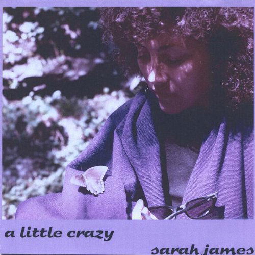 Little Crazy - Sarah James - Music - Funky Diva Records - 0634479084607 - September 16, 2003