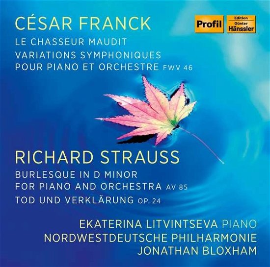 Cover for Litvintseva / Nwd Phil / Bloxham · Cesar Franck &amp; Richard Strauss: Piano Works (CD) (2021)
