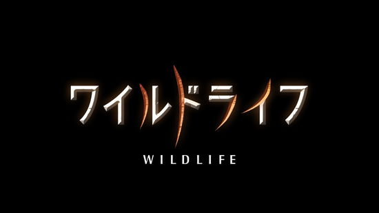 Cover for (Documentary) · Wild Life Shizen Shashinka Yasei He No Manazashi Box (MBD) [Japan Import edition] (2022)