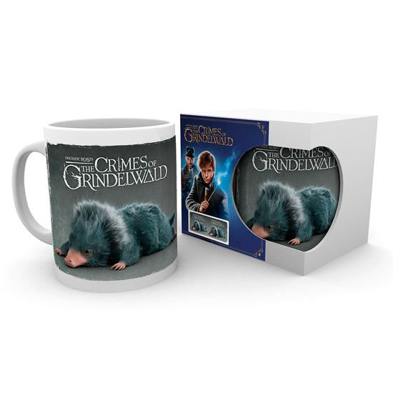 Cover for Fantastic Beasts: The Crime Of Grindelwald · Einstein (Mugs) (MERCH) (2018)