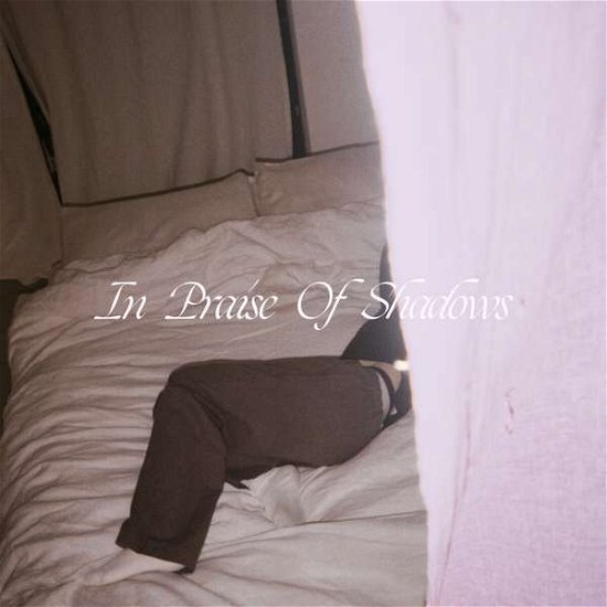 Puma Blue · In Praise Of Shadows (LP) [Limited edition] (2021)