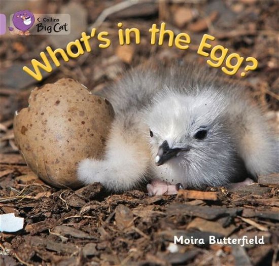 Cover for Moira Butterfield · What’s in the Egg?: Band 00/Lilac - Collins Big Cat (Paperback Bog) [Edition edition] (2013)