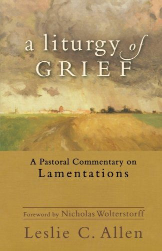 Cover for Leslie C. Allen · A Liturgy of Grief – A Pastoral Commentary on Lamentations (Taschenbuch) (2011)