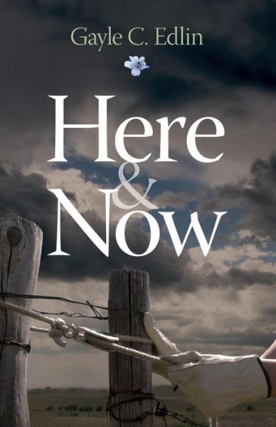 Cover for Gayle C Edlin · Here &amp; Now (Paperback Book) (2014)