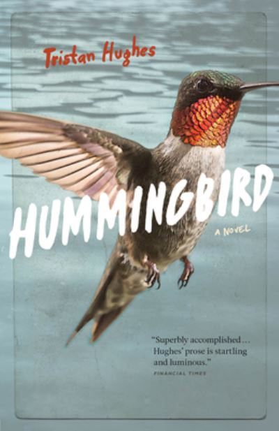 Cover for Tristan Hughes · Hummingbird (Paperback Book) (2018)