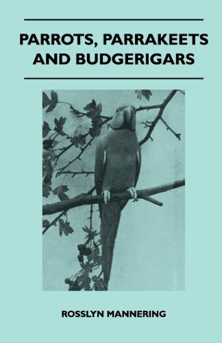 Cover for Rosslyn Mannering · Parrots, Parrakeets and Budgerigars (Paperback Book) (2022)