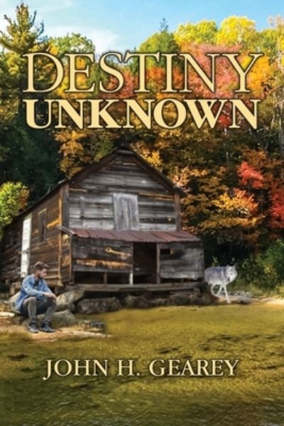 Cover for John H Gearey · Destiny Unknown (Paperback Book) (2020)