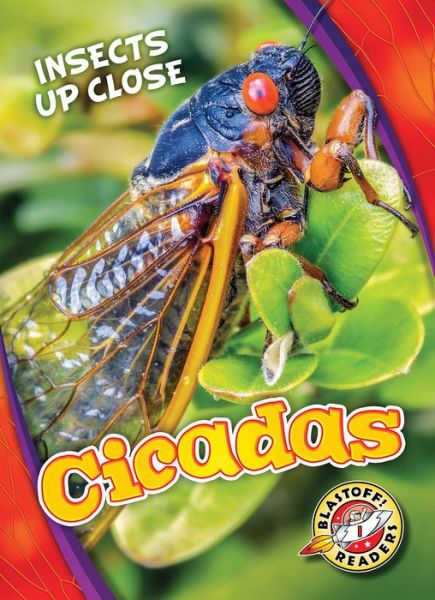 Cover for Christina Leaf · Cicadas - Insects Up Close (Hardcover Book) (2017)