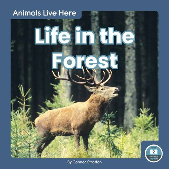 Cover for Connor Stratton · Life in the Forest - Animals Live Here (Paperback Book) (2020)