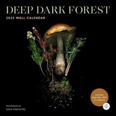 Julya Hajnoczky · Deep Dark Forest 2025 Wall Calendar (Calendar) (2024)