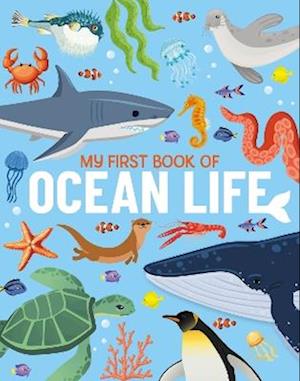 Cover for Eliza Jeffrey · My First Book of Ocean Life: An Illustrated First Look at Ocean Life from Around the World - My First Book of (Hardcover bog) (2024)