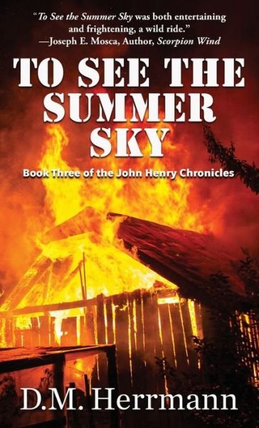 Cover for D. M. Herrmann · To See the Summer Sky (Paperback Book) (2021)
