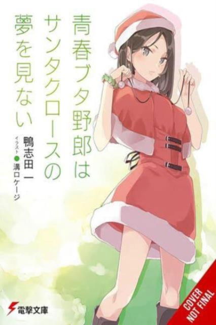 Hajime Kamoshida · Rascal Does Not Dream of Santa Claus (light novel) (Paperback Book) (2024)