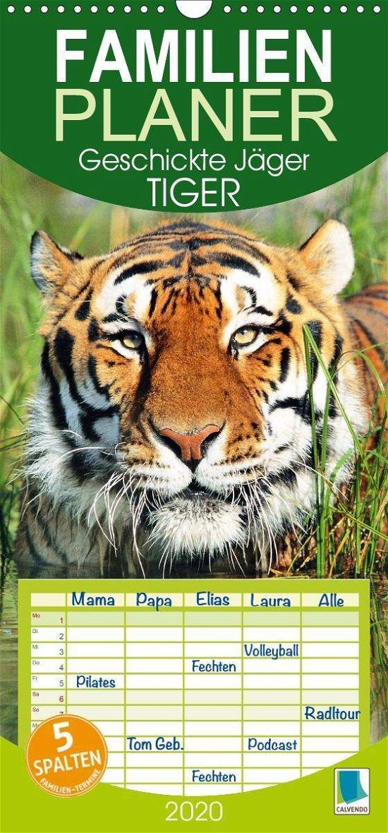 Cover for Tiger · Geschickte Jäger (Wandkalender 2 (Book)