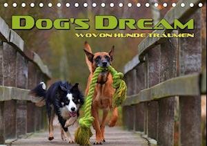 Cover for Bleicher · DOG'S DREAM - wovon Hunde träu (Book)