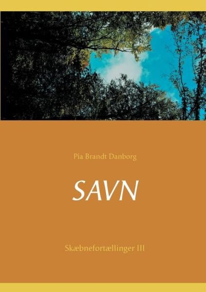 Cover for Pia Brandt Danborg · Savn (Pocketbok) [1. utgave] (2020)