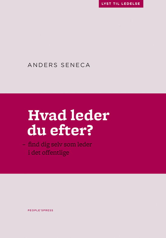 Hvad leder du efter? - Anders Seneca - Books - People'sPress - 9788771086607 - April 26, 2012