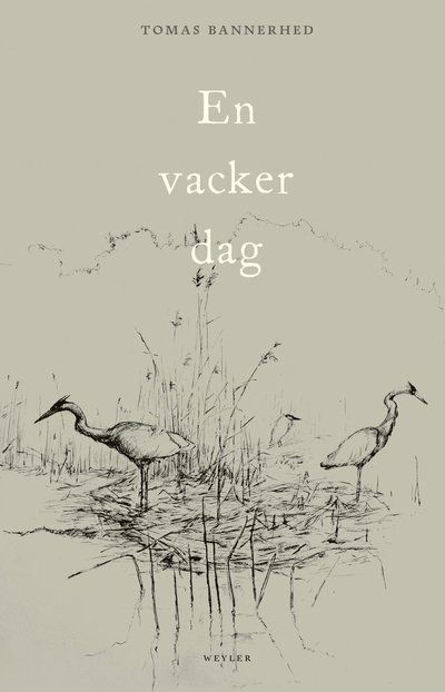 Cover for Tomas Bannerhed · En vacker dag (Taschenbuch) (2024)