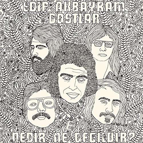 Cover for Akbayram,edip / Dostlar · Nedir Ne Degildir (LP) [Remastered edition] (2014)