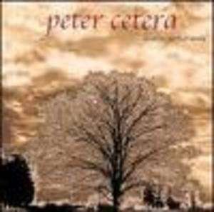 Cover for Peter Cetera · Another Perfect World (CD) (2001)