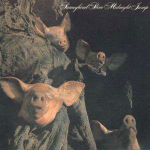 Midnight Jump - Slim Sunnyland - Musik - BGO RECORDS - 5017261204608 - 4. August 1999