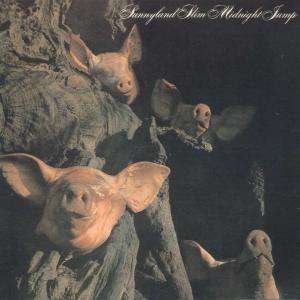 Cover for Slim Sunnyland · Midnight Jump (CD) (1999)