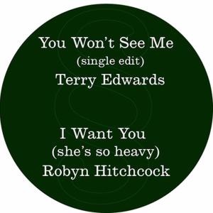 Cover for Terry Edwards · You Won't See Me/I Want Y (LP) (2011)