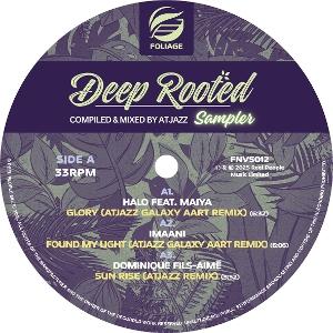 Cover for Compilation · Deep Rooted (Compiled &amp; Mixed by Atjazz) Vinyl Sampler (LP) (2025)