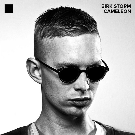 Cameleon - Birk Storm - Musiikki - TARGET RECORDS - 5700907251608 - maanantai 20. elokuuta 2012