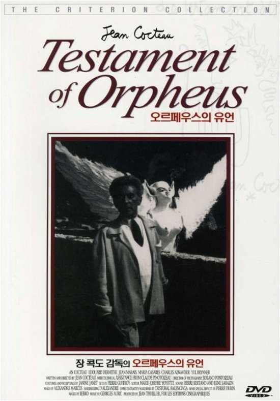 Cover for Jean Cocteau · Testament of Orpheus (DVD) (2008)