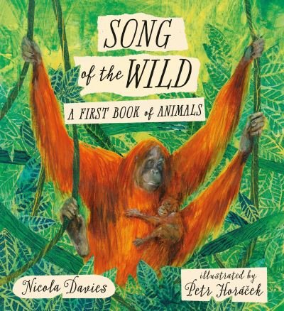 Cover for Nicola Davies · Song of the Wild: A First Book of Animals (Book) (2017)