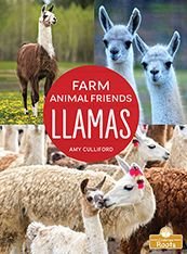 Cover for Amy Culliford · Llamas (Paperback Book) (2022)