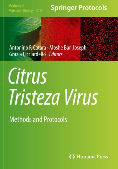 Cover for Citrus Tristeza Virus: Methods and Protocols - Methods in Molecular Biology (Paperback Book) [2019 edition] (2020)