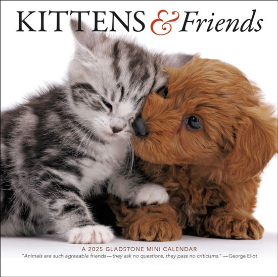 Cover for Gladstone Media · Kittens &amp; Friends Square Mini Calendar 2025 (Calendar) (2024)