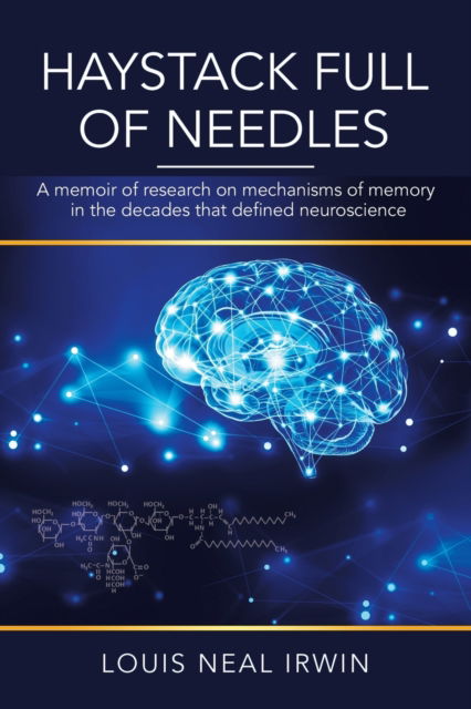 Cover for Louis Neal Irwin · Haystack Full of Needles (Paperback Book) (2020)