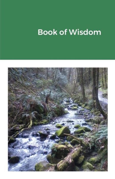 Book of Wisdom - John McLaughlin - Books - Lulu.com - 9781716649608 - July 11, 2020