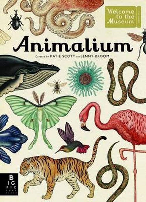 Cover for Jenny Broom · Animalium - Welcome To The Museum (Hardcover Book) (2014)