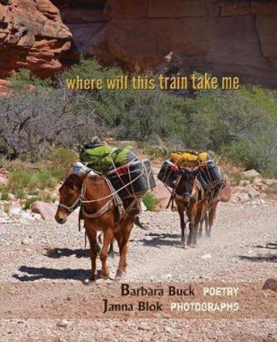 Cover for Barbara Buck · Where Will This Train Take Me (Paperback Book) (2017)