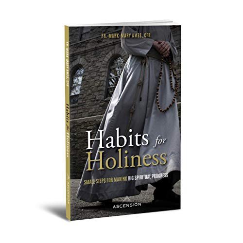 Cover for Fr. Mark-Mary Ames · Habits for Holiness (Paperback Bog) (2021)
