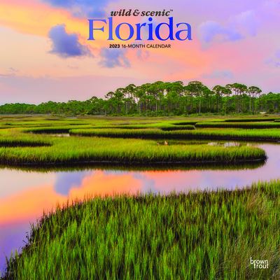 Cover for Browntrout · Florida Wild &amp; Scenic 2023 Square Foil (Calendar) (2022)